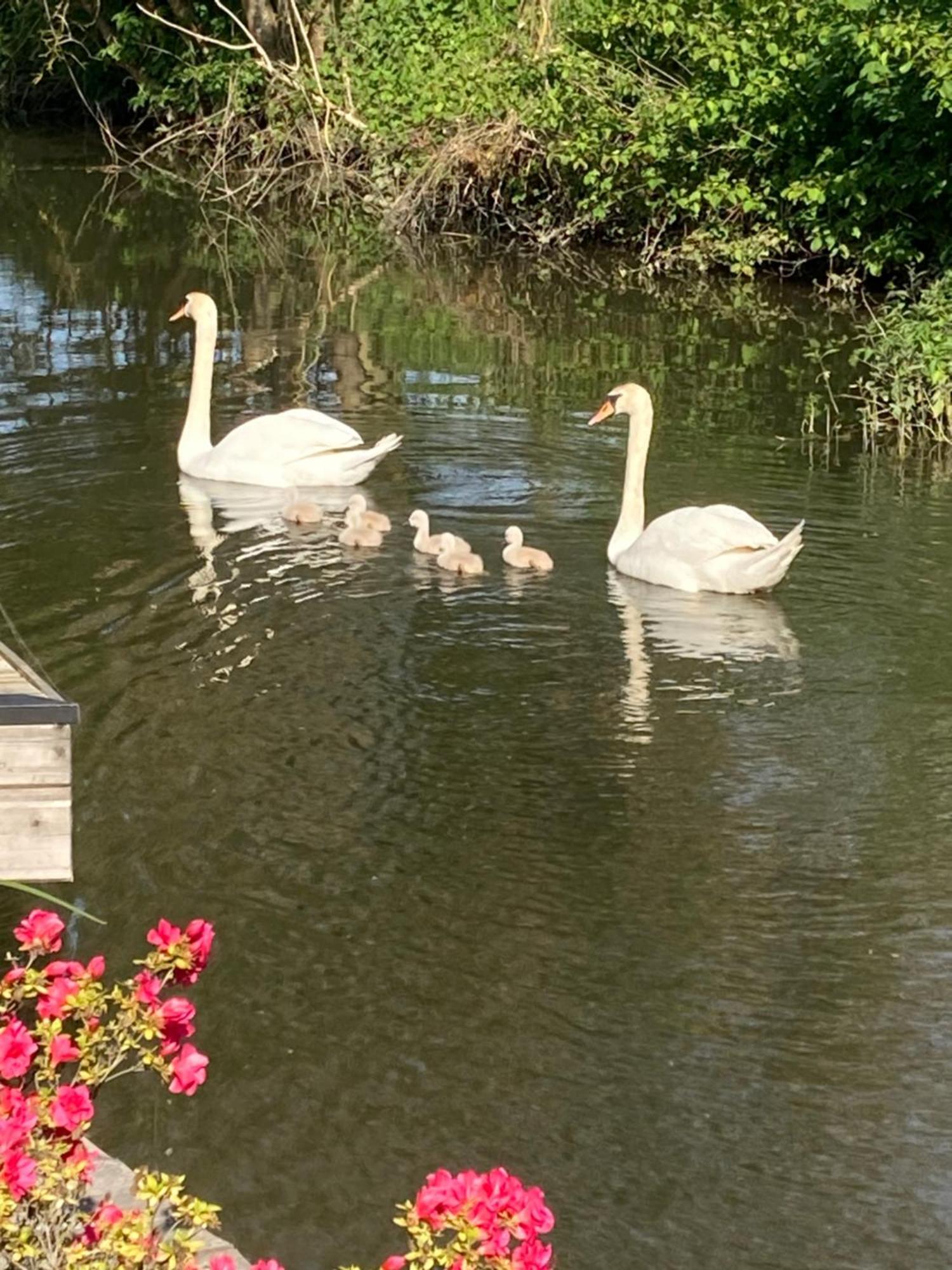 Cote Riviere Daire Ezy-sur-Eure Dış mekan fotoğraf