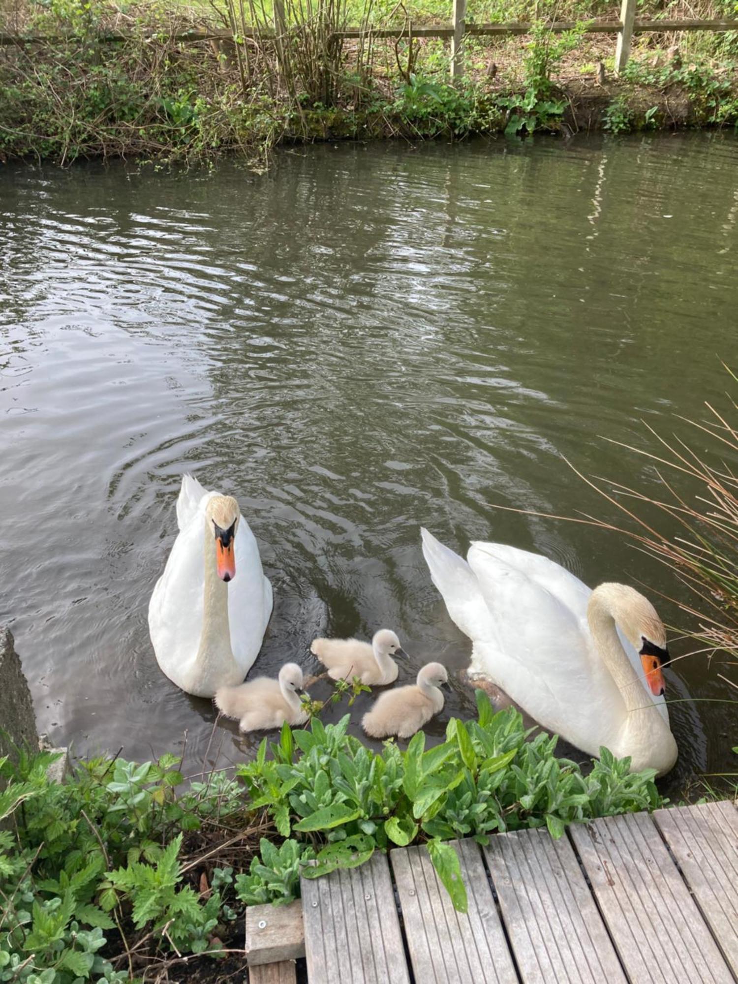 Cote Riviere Daire Ezy-sur-Eure Dış mekan fotoğraf